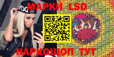 прущие грибы Новодвинск