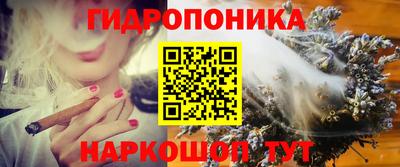 прущие грибы Новодвинск