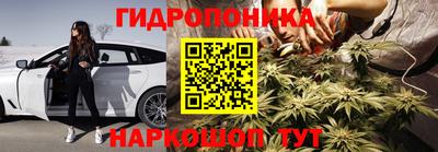 прущие грибы Новодвинск