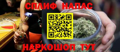прущие грибы Новодвинск
