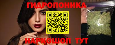 прущие грибы Новодвинск